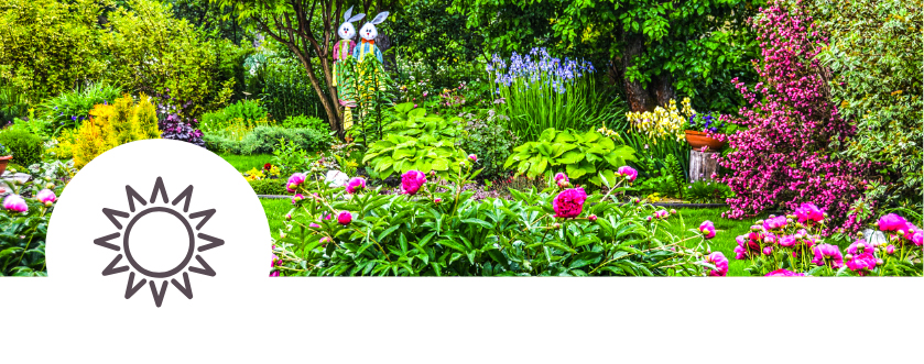 News Events Nick S Garden Center Nursery Summer At Nick S