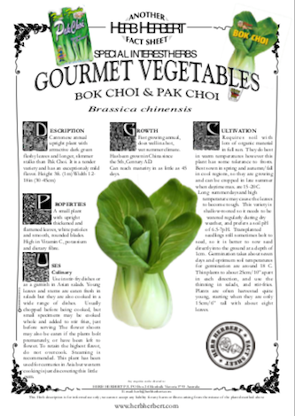 Bok Choy | Growing Cool Weather Crops 