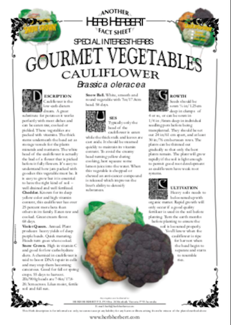 About Cauliflower | Cold Weather Crops | Nick's Garden Center | Denver CO