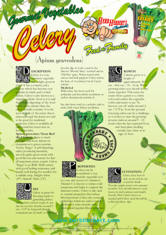 About Celery | Cool Season Crops | Nick's Garden Center | Denver CO