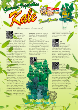 About Kale | Cool Season Crops | Nick's Garden Center | Denver CO