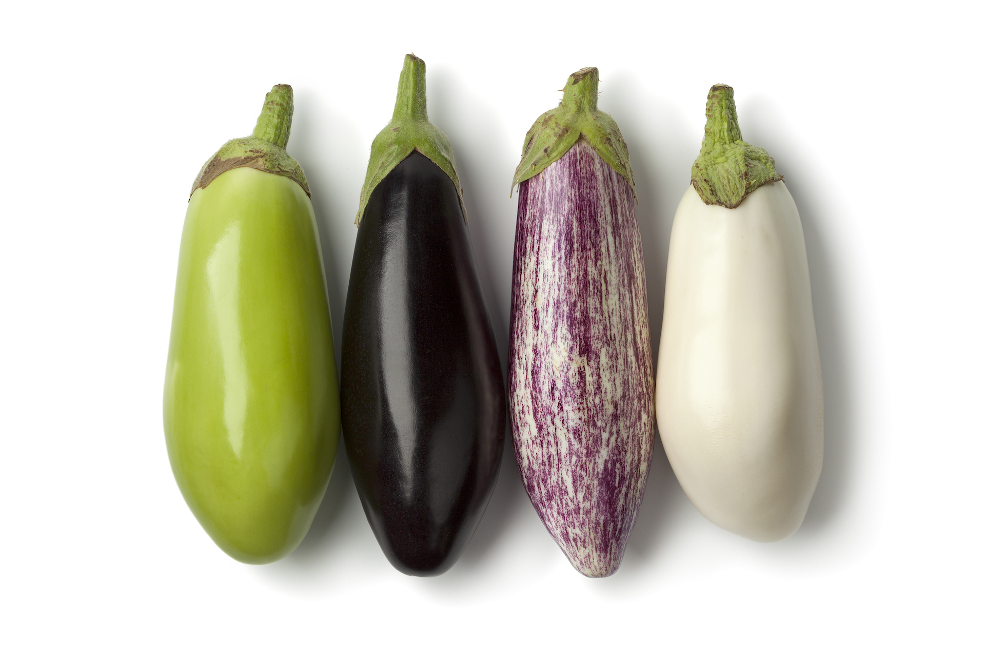 Growing Eggplant | Warm Season Crops | Nick's Garden Center | Denver CO