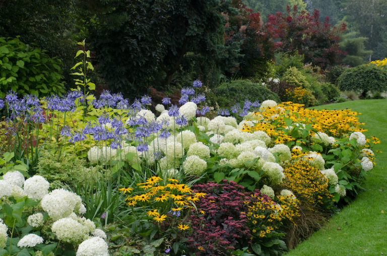 Ground Cover Shrubs for Colorado Climates | Nick's Garden ...