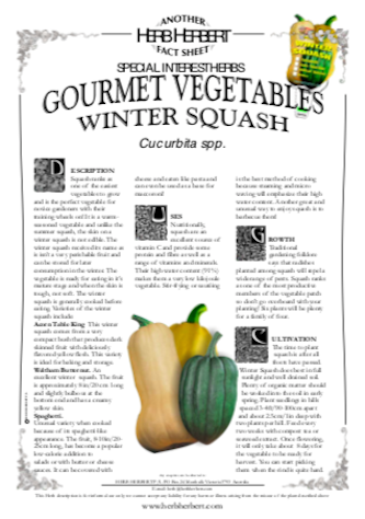 Pumpkin and Squash | Growing Warm Weather Crops | Nick’s Garden Center