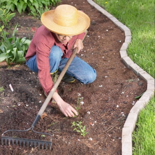 Springtime Gardening & Yard Work How to Make It Easier & More