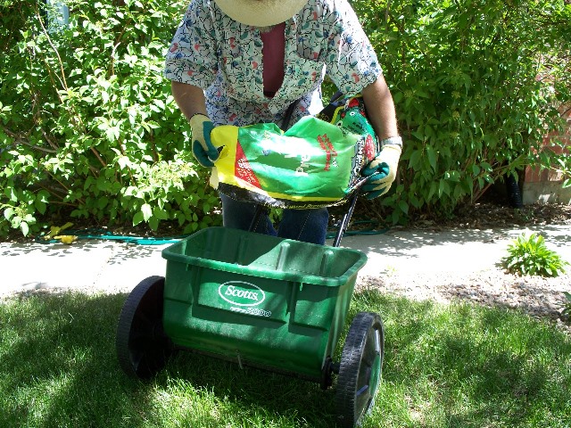 Picture of How to Maintain a Healthy Lawn in Colorado's Climate