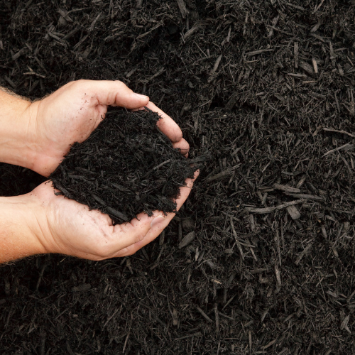 Choosing the Right Mulch for Your Landscape - Bark, Grass, Leaves & More