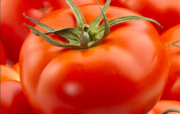 burpee big boy tomato