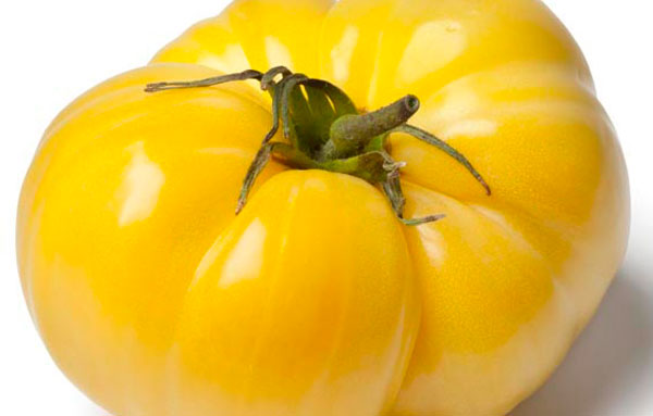 Great White tomato